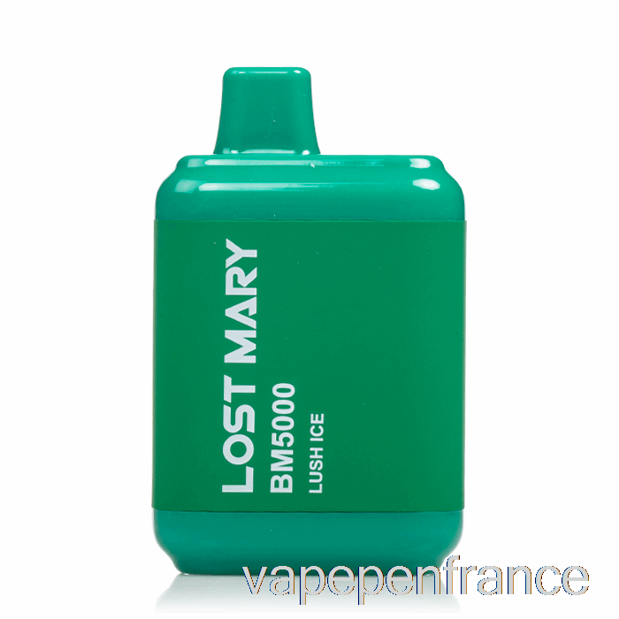 Stylo Vape Jetable à Glace Luxuriante Lost Mary Bm5000